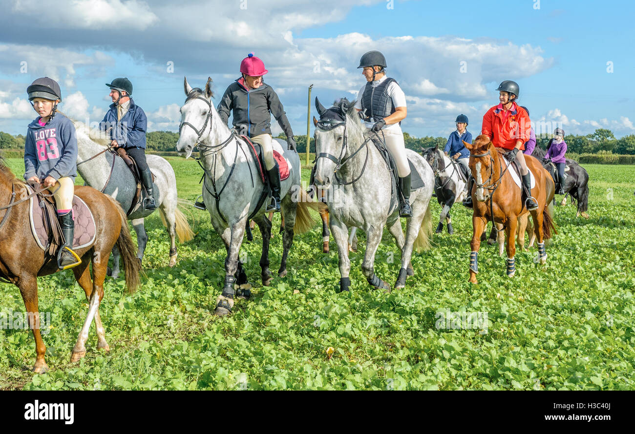 Equestrian crossing hires stock photography and images Alamy