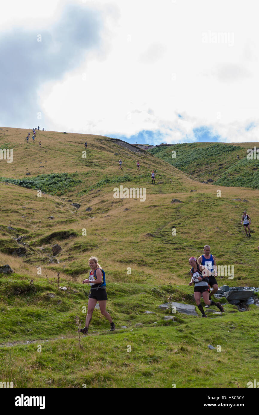 Fell runners competing in the 2016 Borrowdale Fell Race, descending Grey Knotts to Honister Pass, Lake District, Cumbria Stock Photo