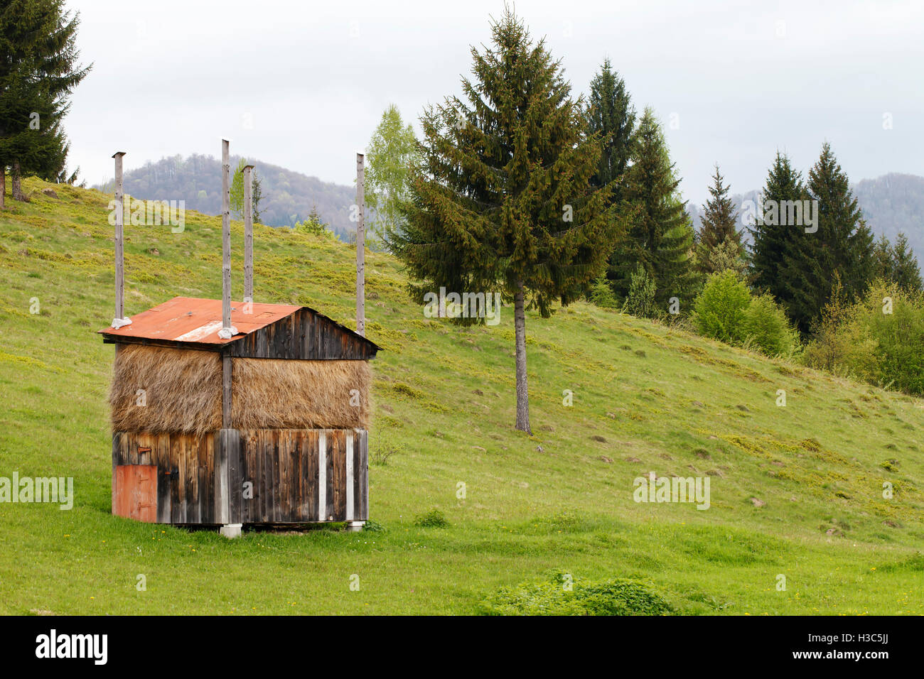 a haystack  on a green agricultural meadow in the mountains Stock Photo