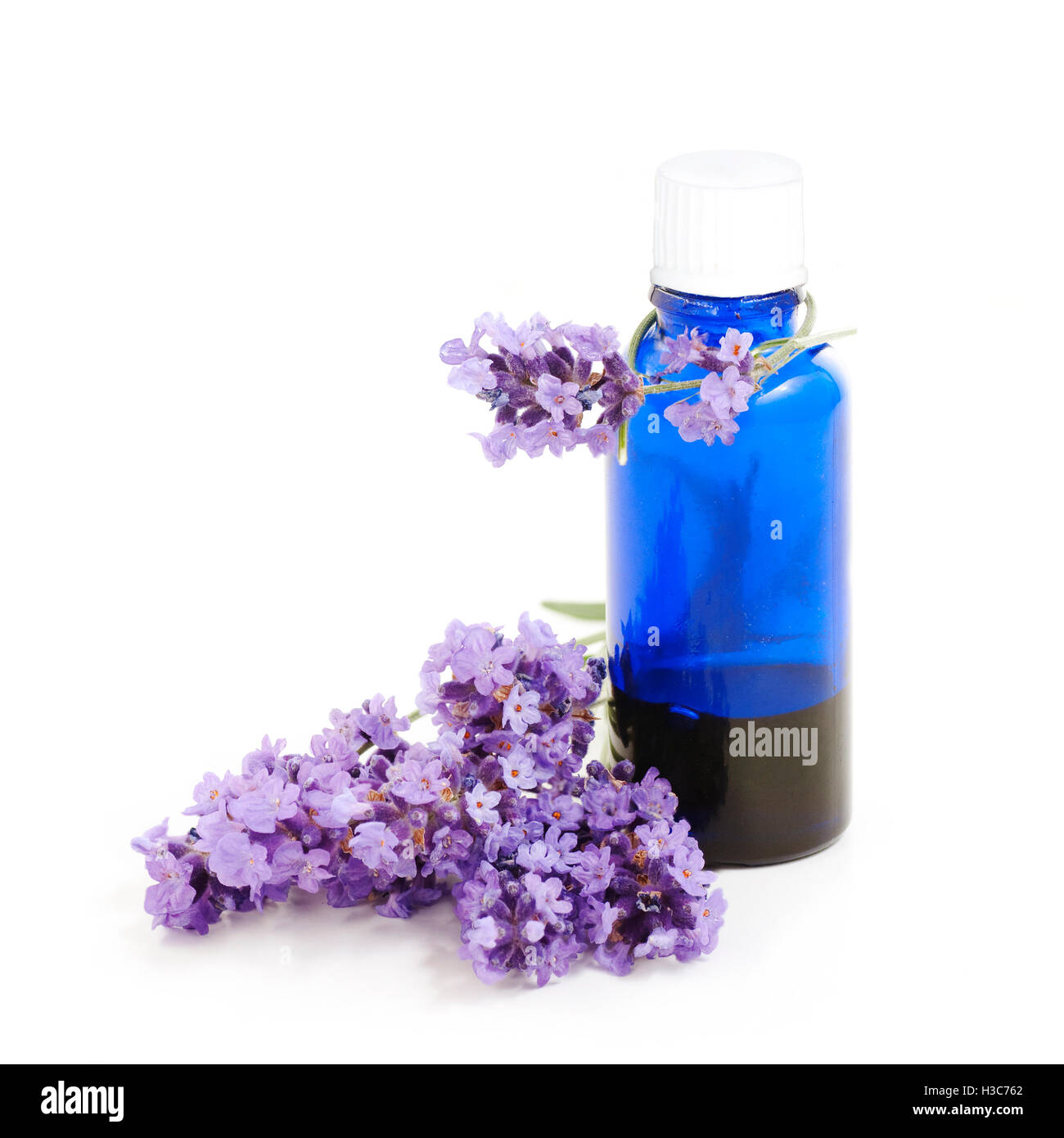 flowers of lavender and blue bottle on a white background Stock Photo
