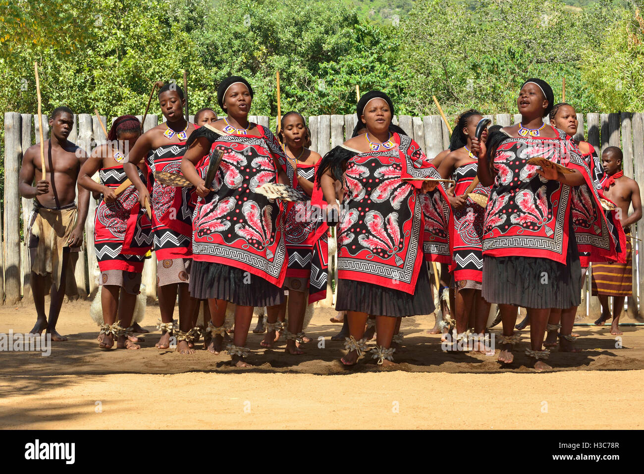 Swazi traditional troupe singing and dancing at the  Mantenga Swazi Cultural Village (Ligugu Lemaswati) Ezulwini Valley, Eswatini (formerly Swaziland) Stock Photo