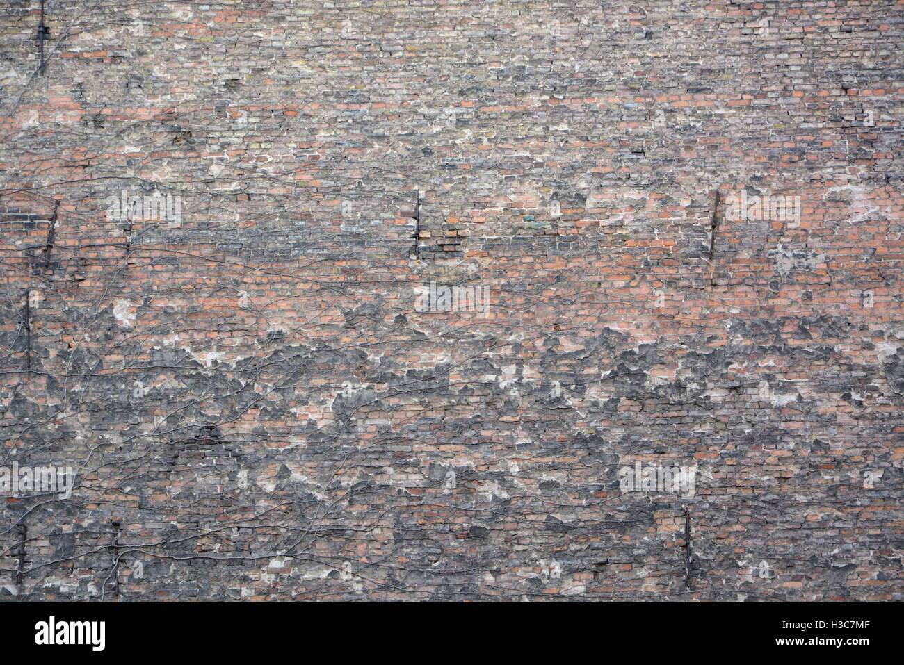 Grunge old urban brick wall as creative background Stock Photo - Alamy