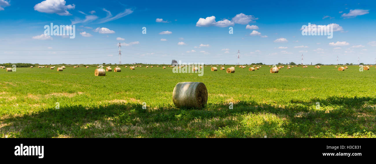 Roll bales on green meadow and blue sky with several clouds Stock Photo