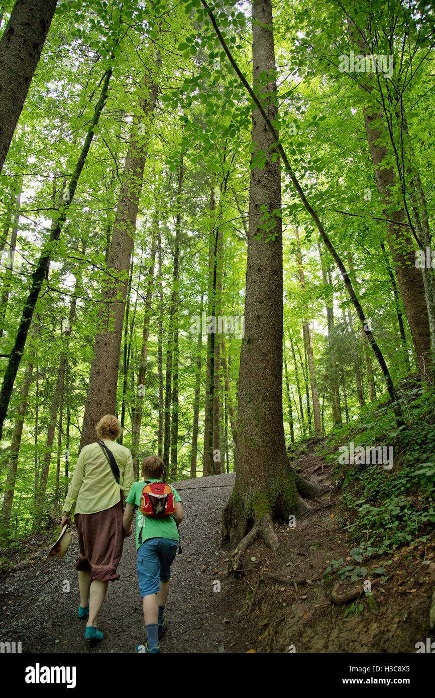 mother and son walking through Rappenloch Gorge, Guetle, Dornbirn, Vorarlberg, Austria Stock Photo