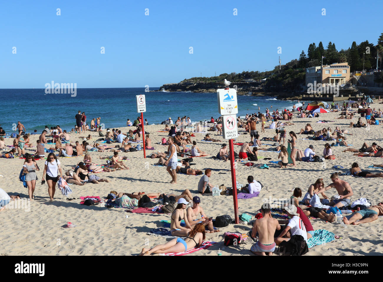 Coogee Beach, Sydney, Australia. Stock Photo