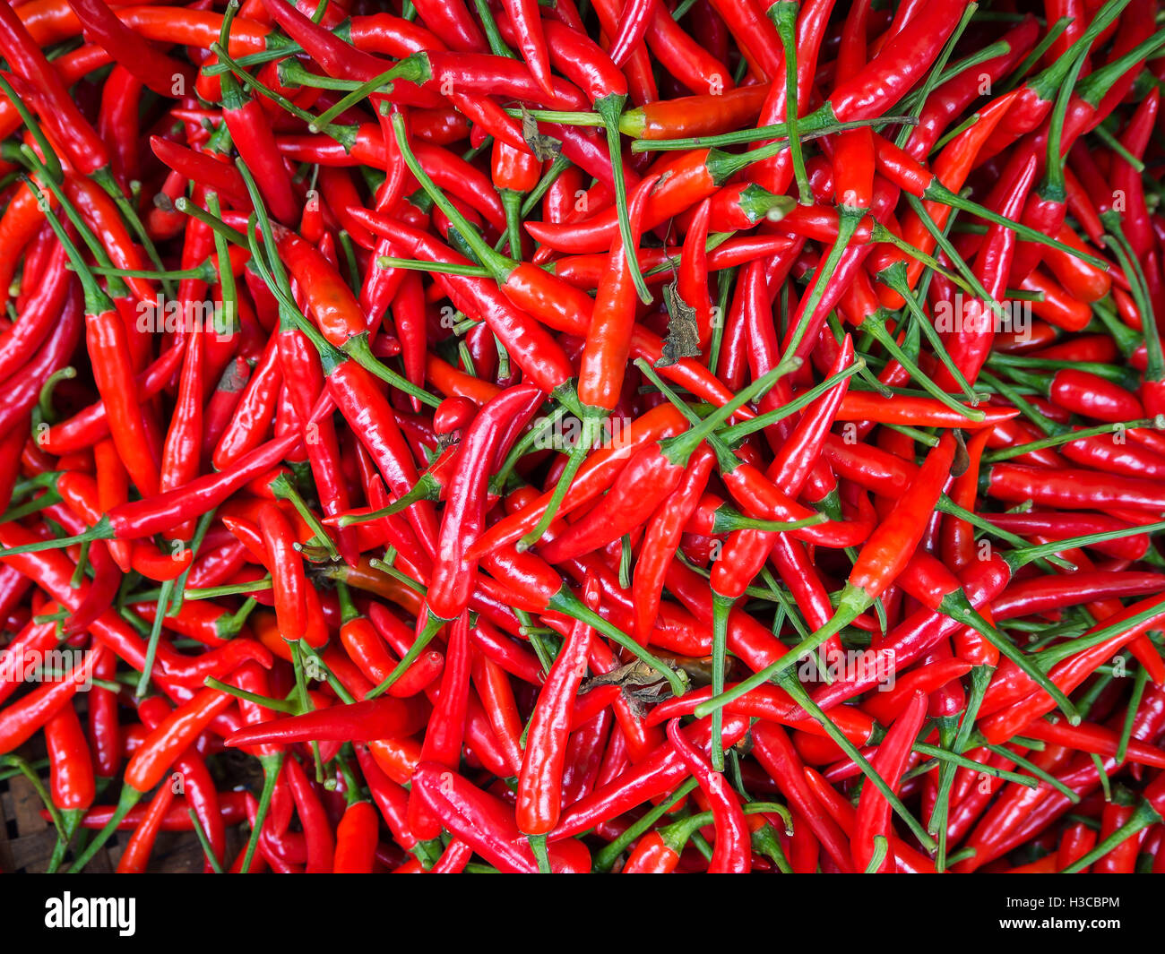 Red chillies for sale at market,Thailand Stock Photo Alamy