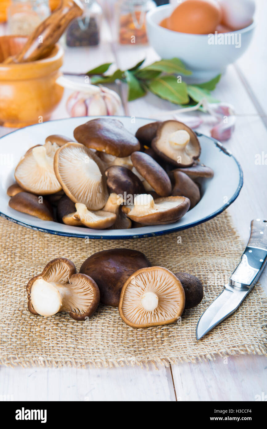 King trumpet mushrooms and ingredients for cooking on the table of the