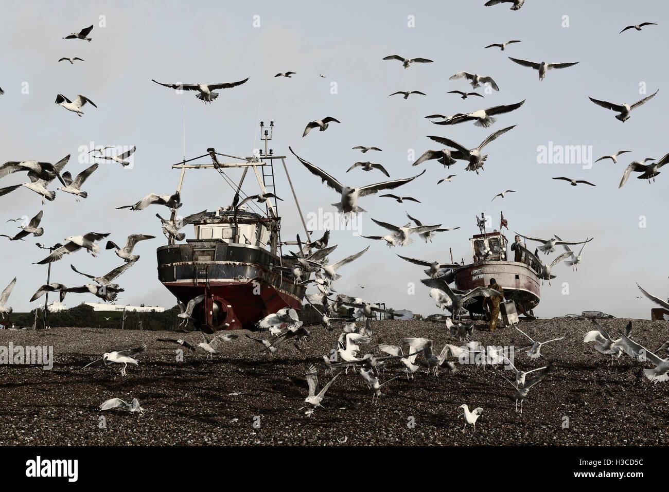 Fishing boats and seagulls at Hastings. East Sussex. England. UK Stock Photo