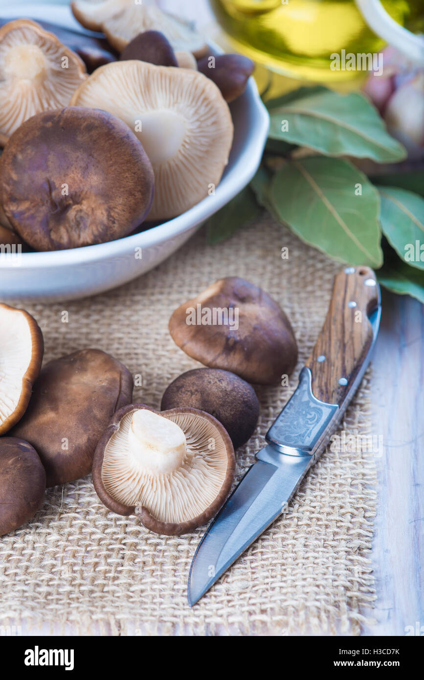 King trumpet mushrooms and ingredients for cooking on the table of the