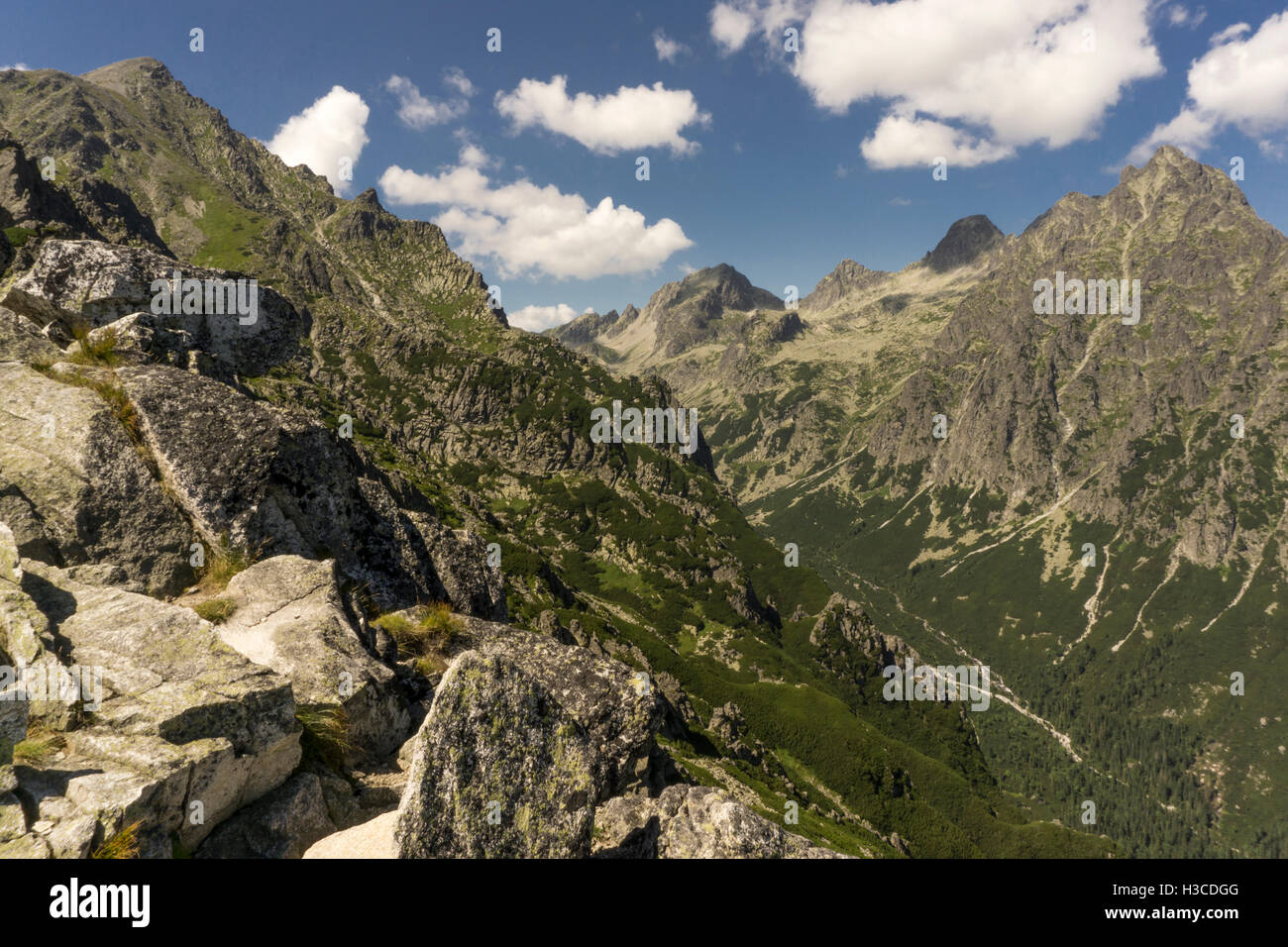 Panorama mountain summer landscape. Tatry. Slovakia Stock Photo - Alamy
