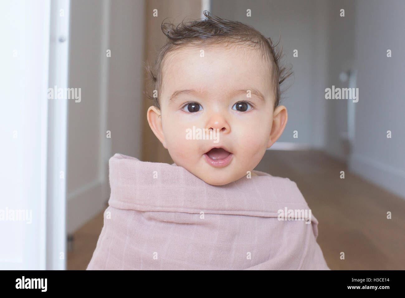 Infant wrapped in a blanket, portrait Stock Photo