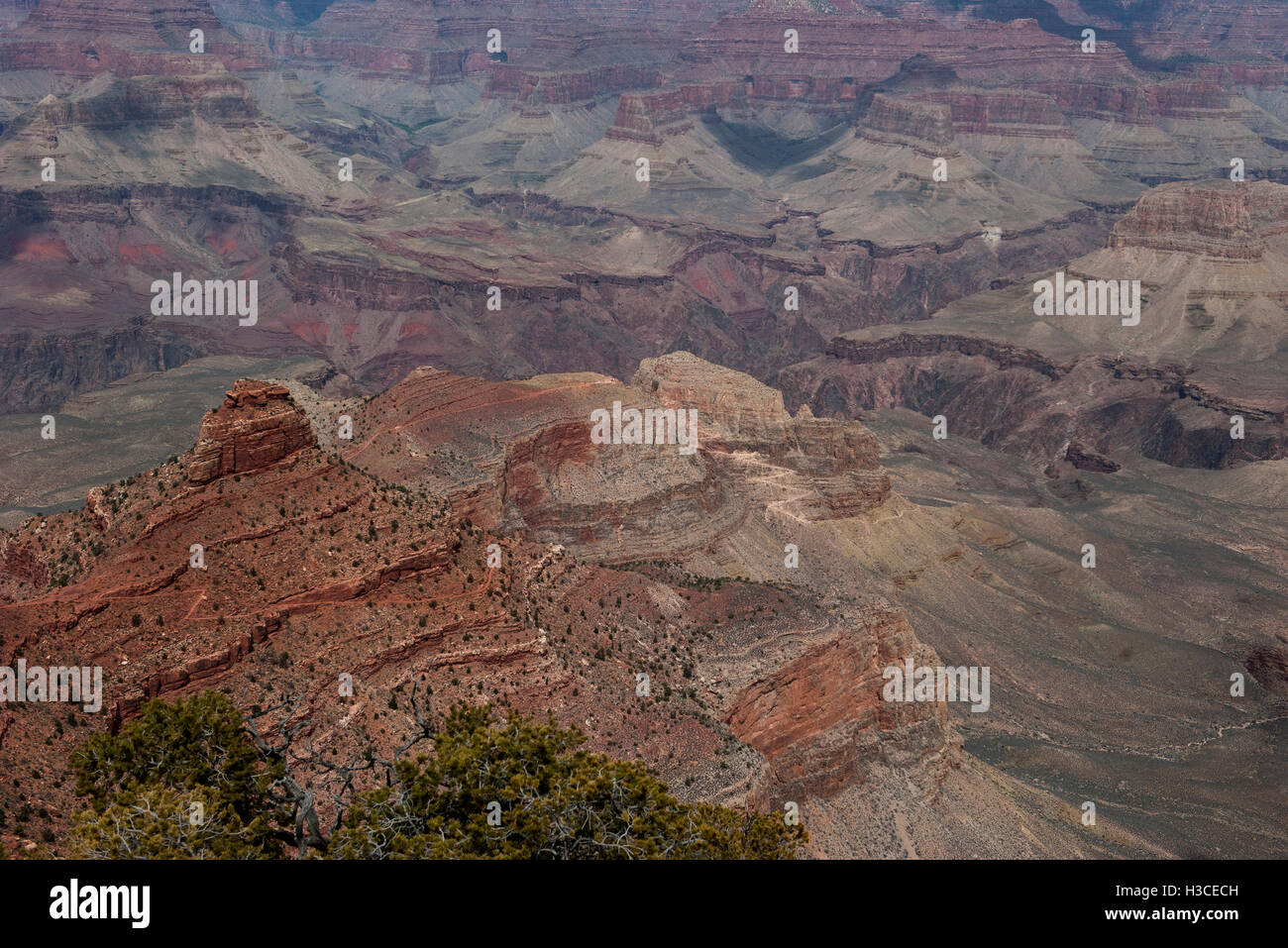 Grand Canyon, Arizona, USA Stock Photo