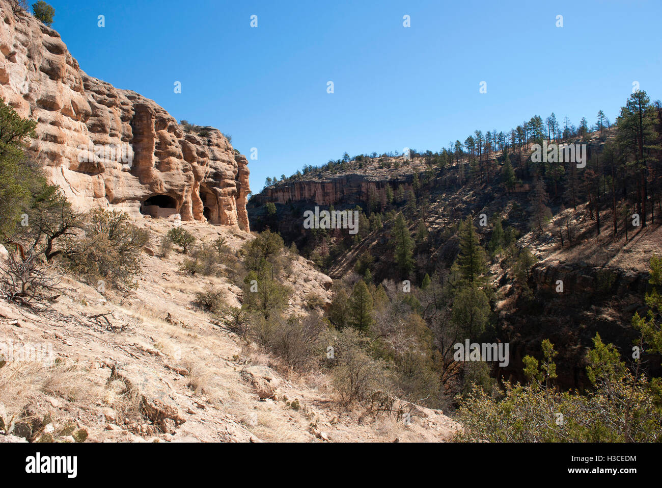 Gila Cliff Dwellings National Monument, Gila Wilderness, New Mexico, USA Stock Photo