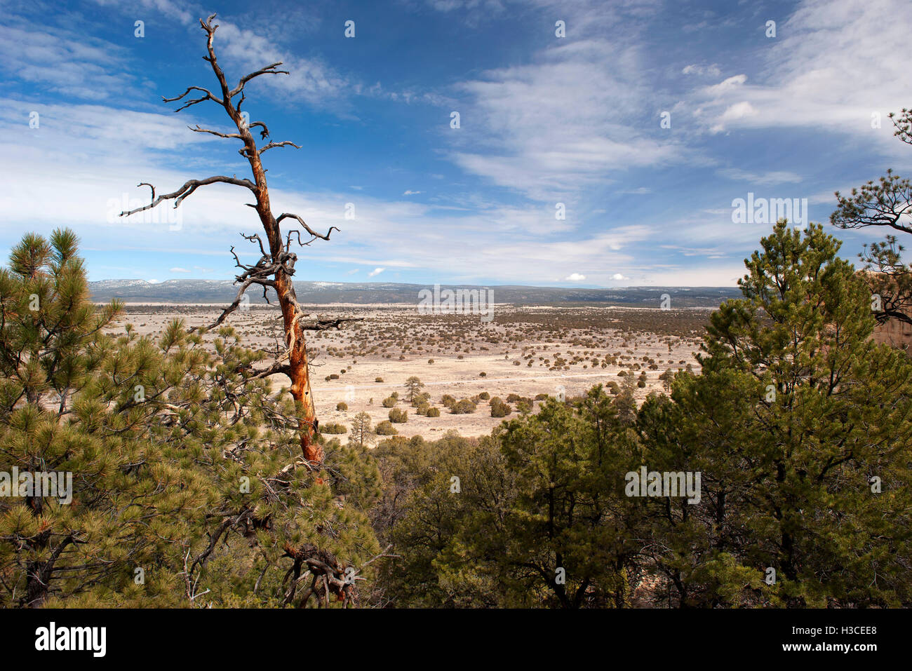 Scenic arid landscape Stock Photo