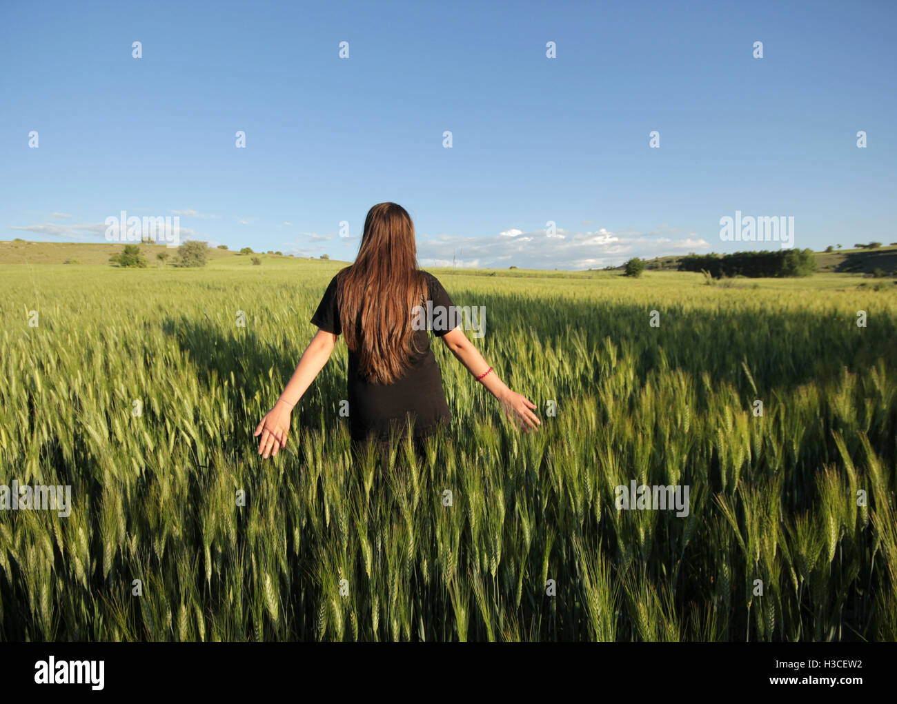 Silhouette farmer in field wheat hi-res stock photography and images ...