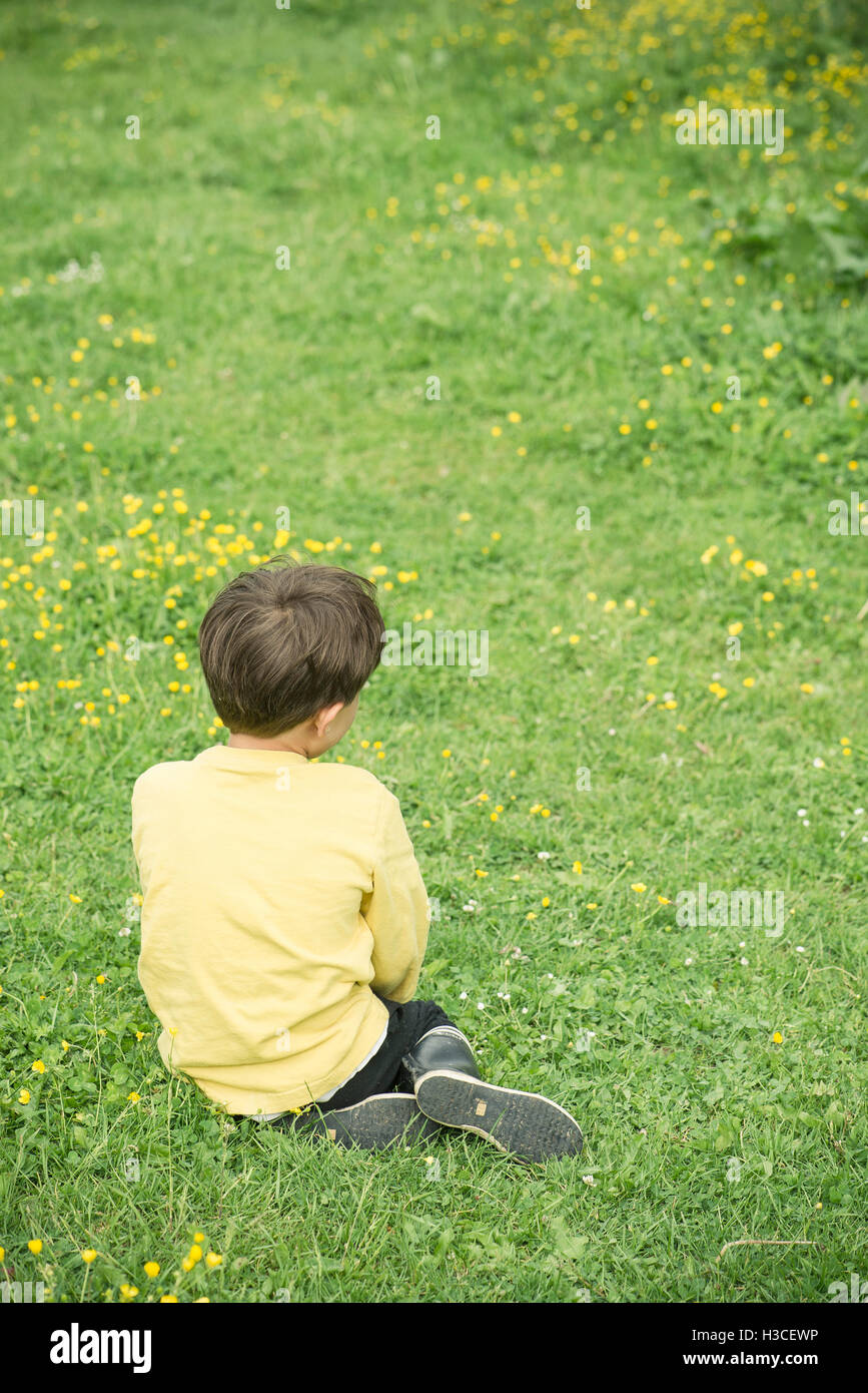 Boy sitting alone in grass, rear view Stock Photo