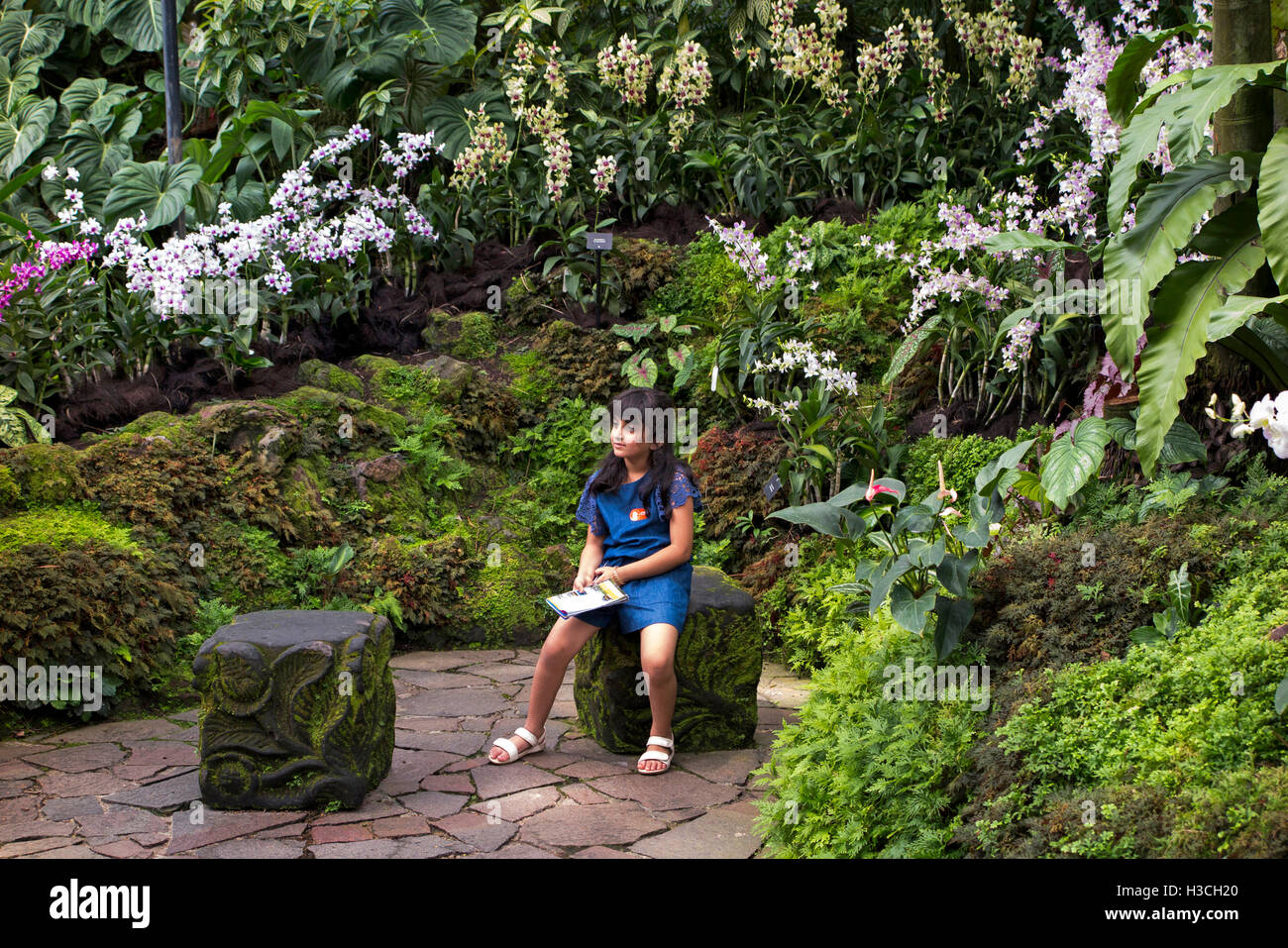 Singapore, Botanic Gardens, National Orchid Garden visitor posing amongst flowers Stock Photo