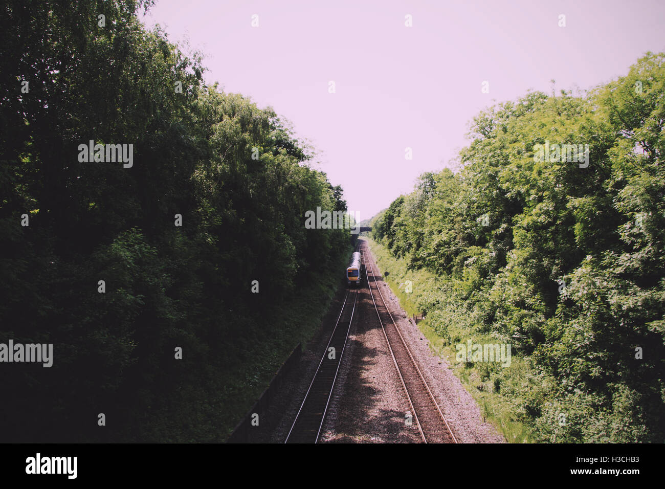View over the railway line with trees on each side Vintage Retro Filter. Stock Photo