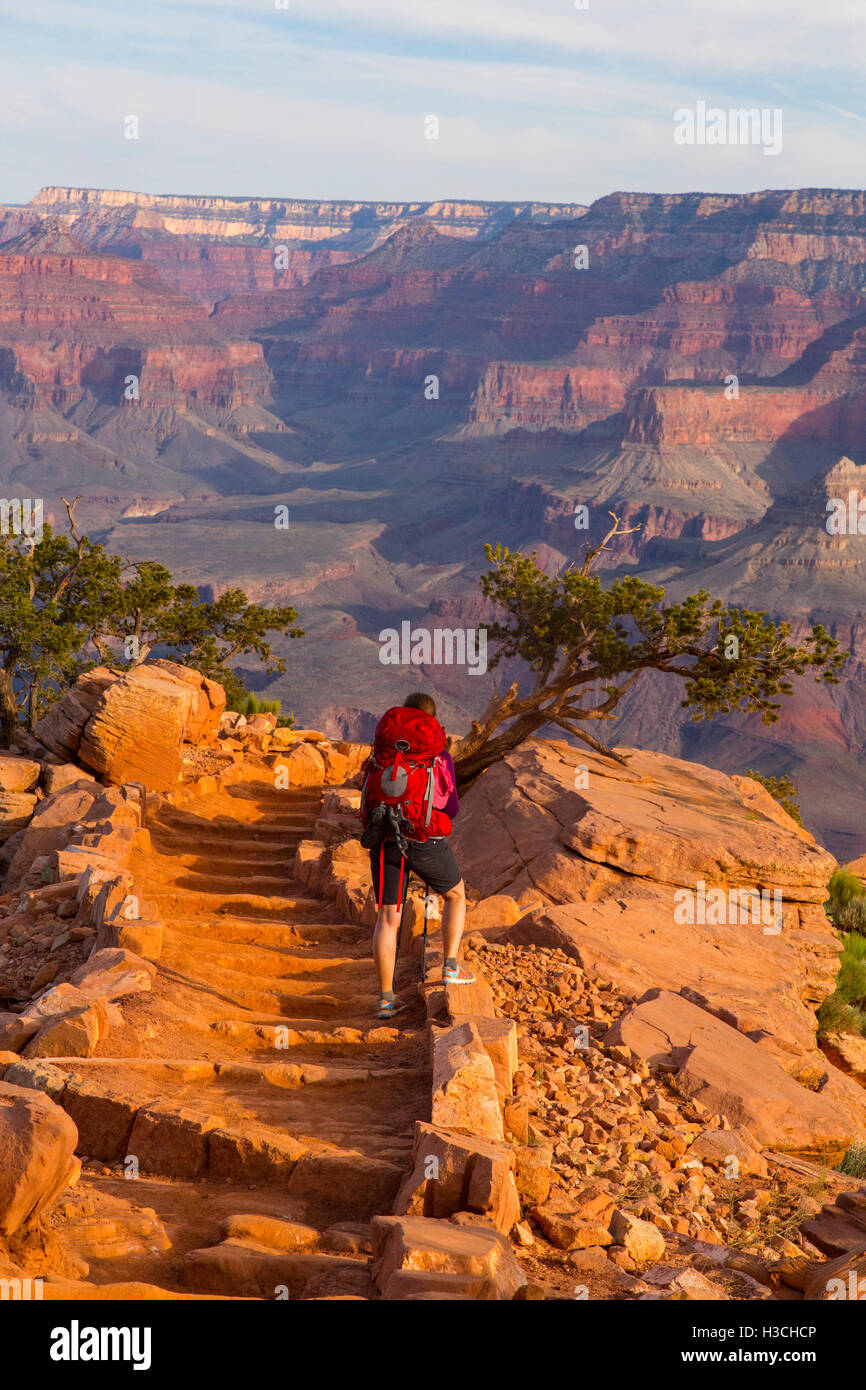 South Kaibab Trail, Grand Canyon National Park, Arizona Stock Photo Alamy
