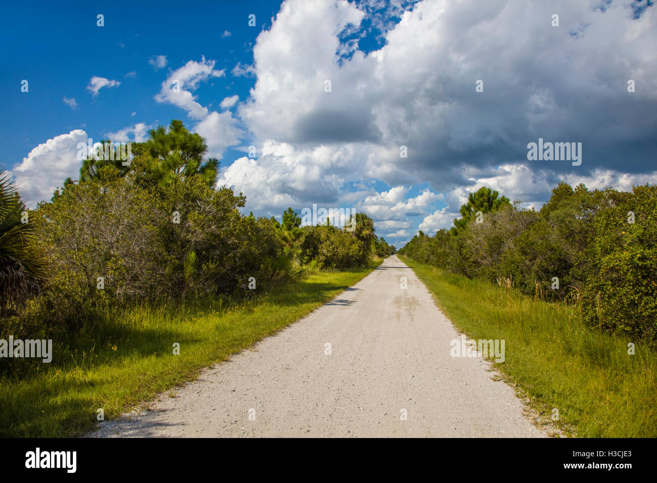Road into Deer Prairie Creek Preserve in Venice Florida Stock Photo