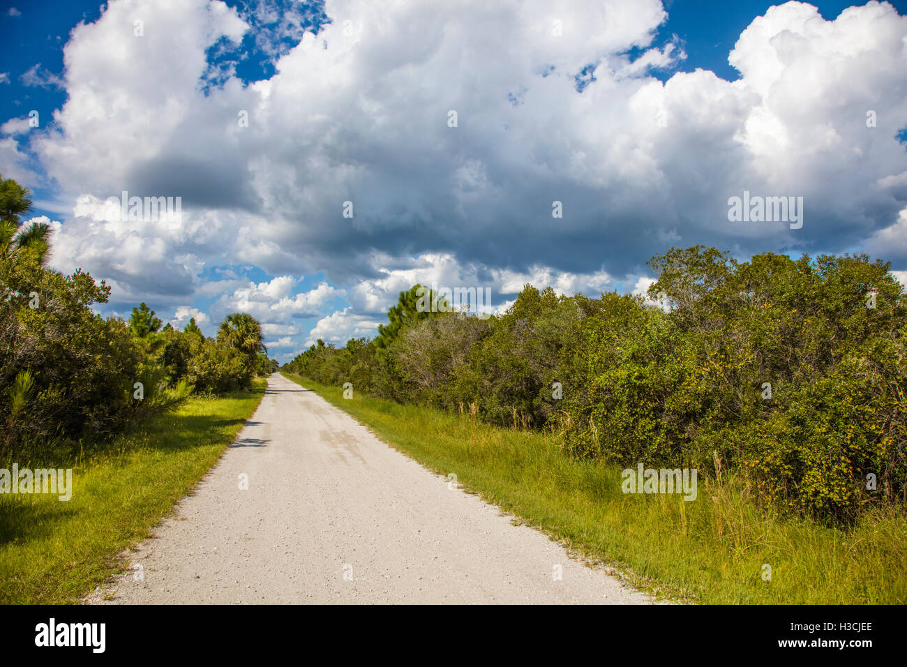 Road into Deer Prairie Creek Preserve in Venice Florida Stock Photo