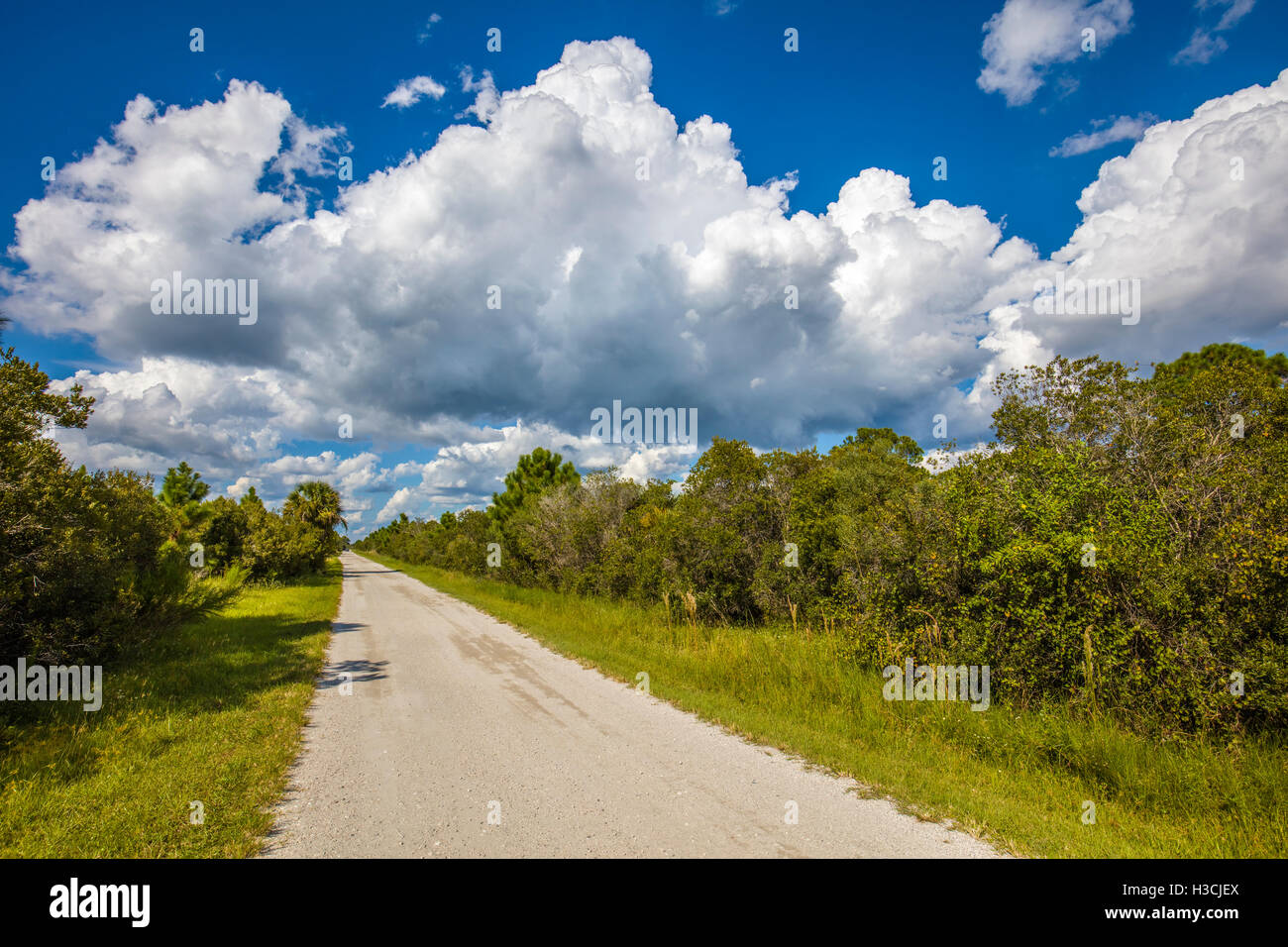 Road into Deer Prairie Creek Preserve in Venice Florida Stock Photo