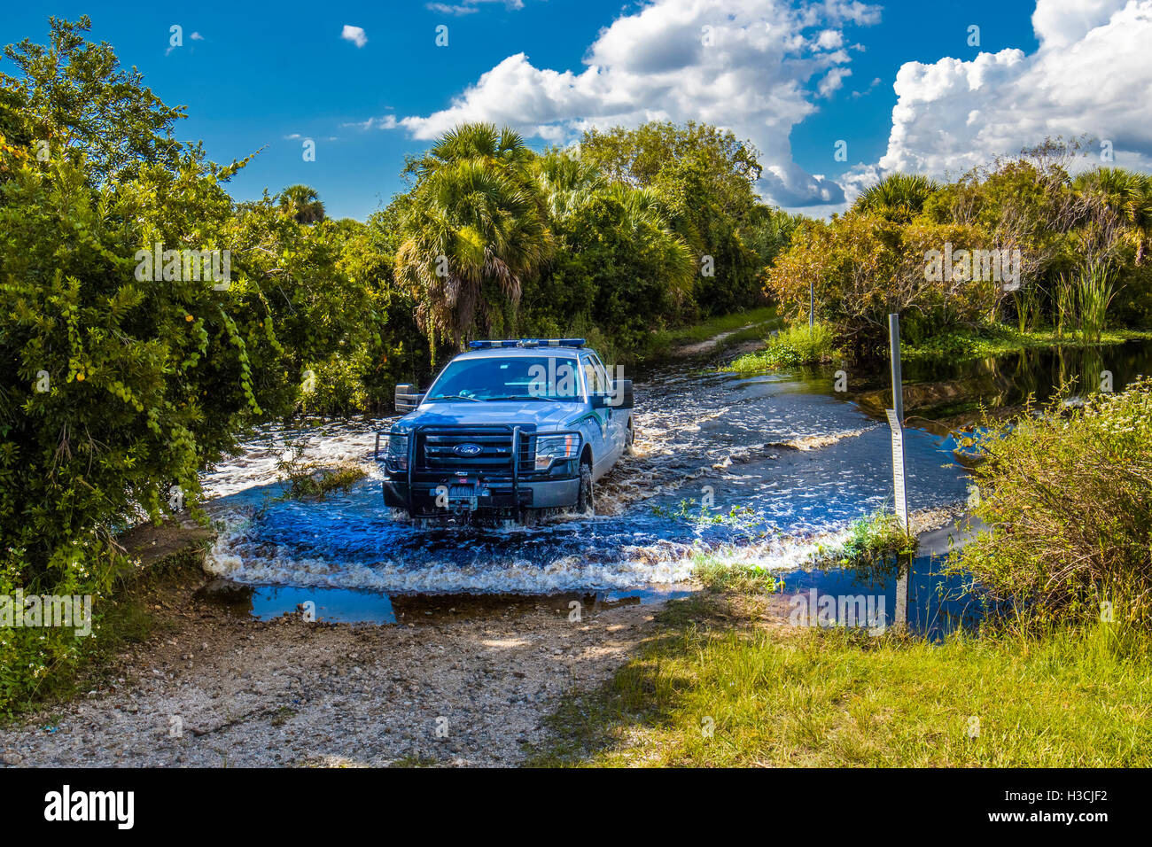 Ranger truck crossing creek Deer Prairie Creek Preserve in Venice Florida Stock Photo