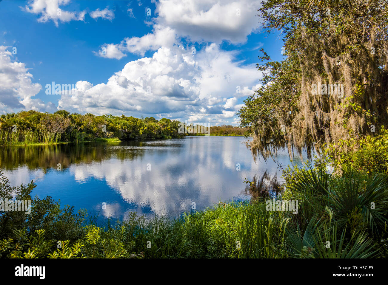 Deer Prairie Creek Preserve in Venice Florida Stock Photo