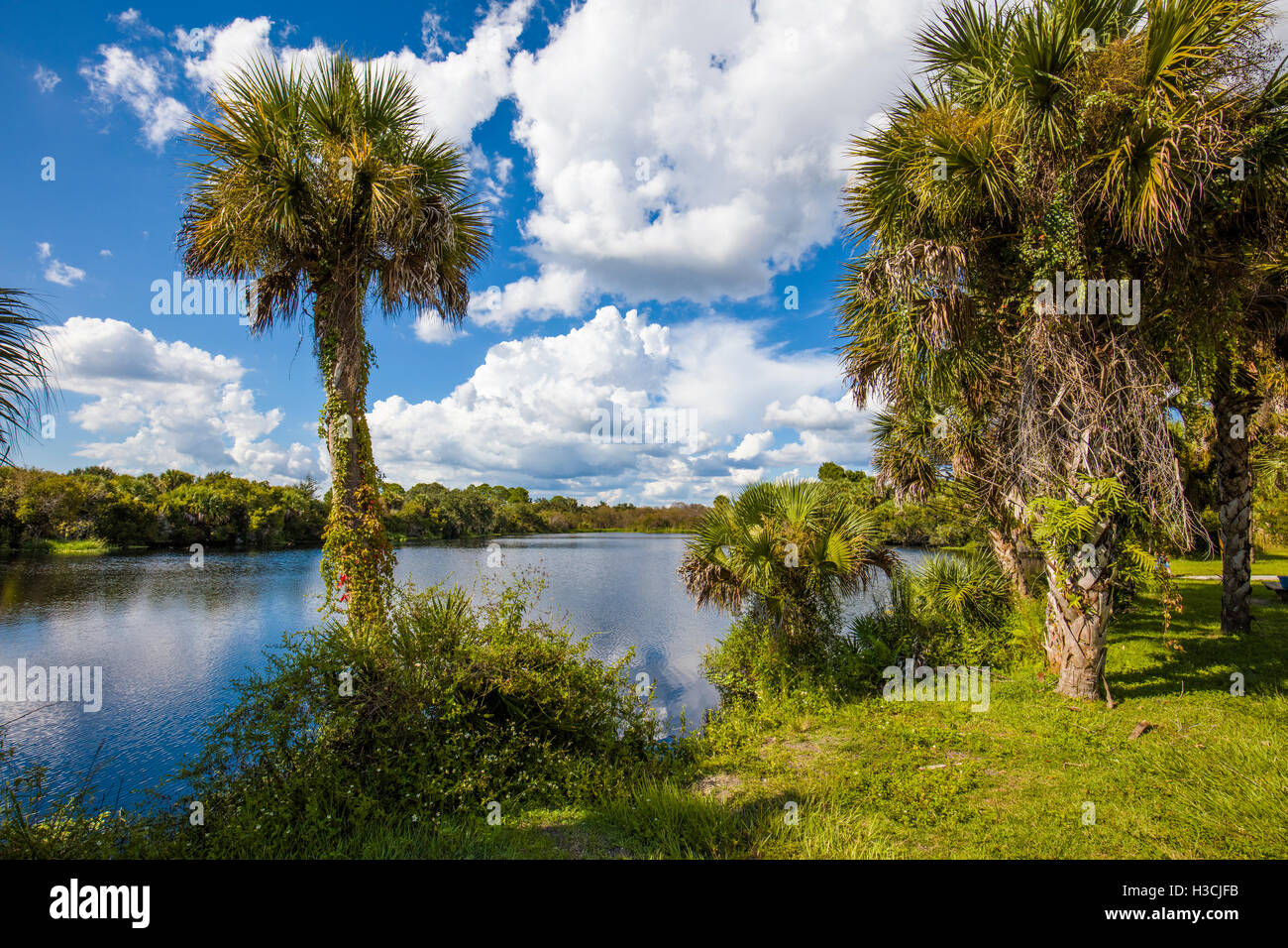 Deer Prairie Creek Preserve in Venice Florida Stock Photo