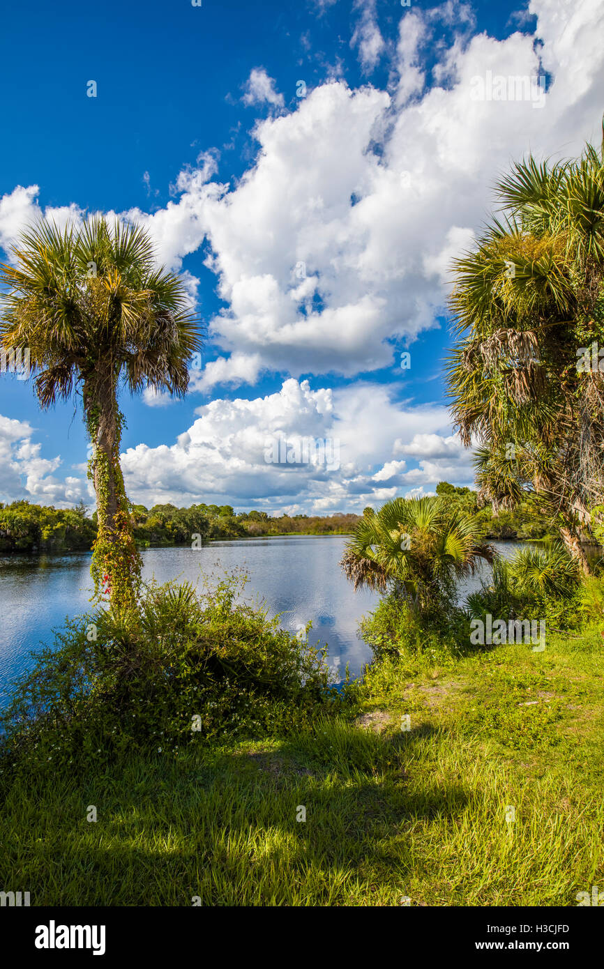 Deer Prairie Creek Preserve in Venice Florida Stock Photo