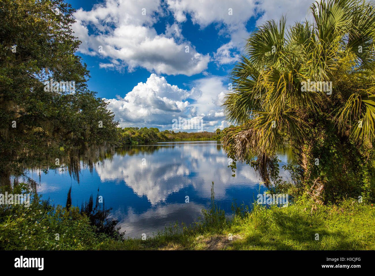 Deer Prairie Creek Preserve in Venice Florida Stock Photo