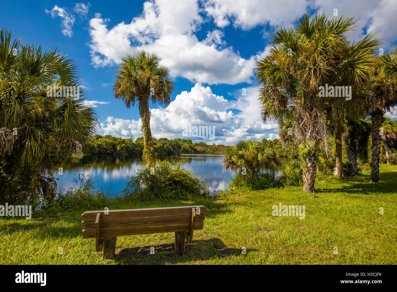 Deer Prairie Creek Preserve in Venice Florida Stock Photo