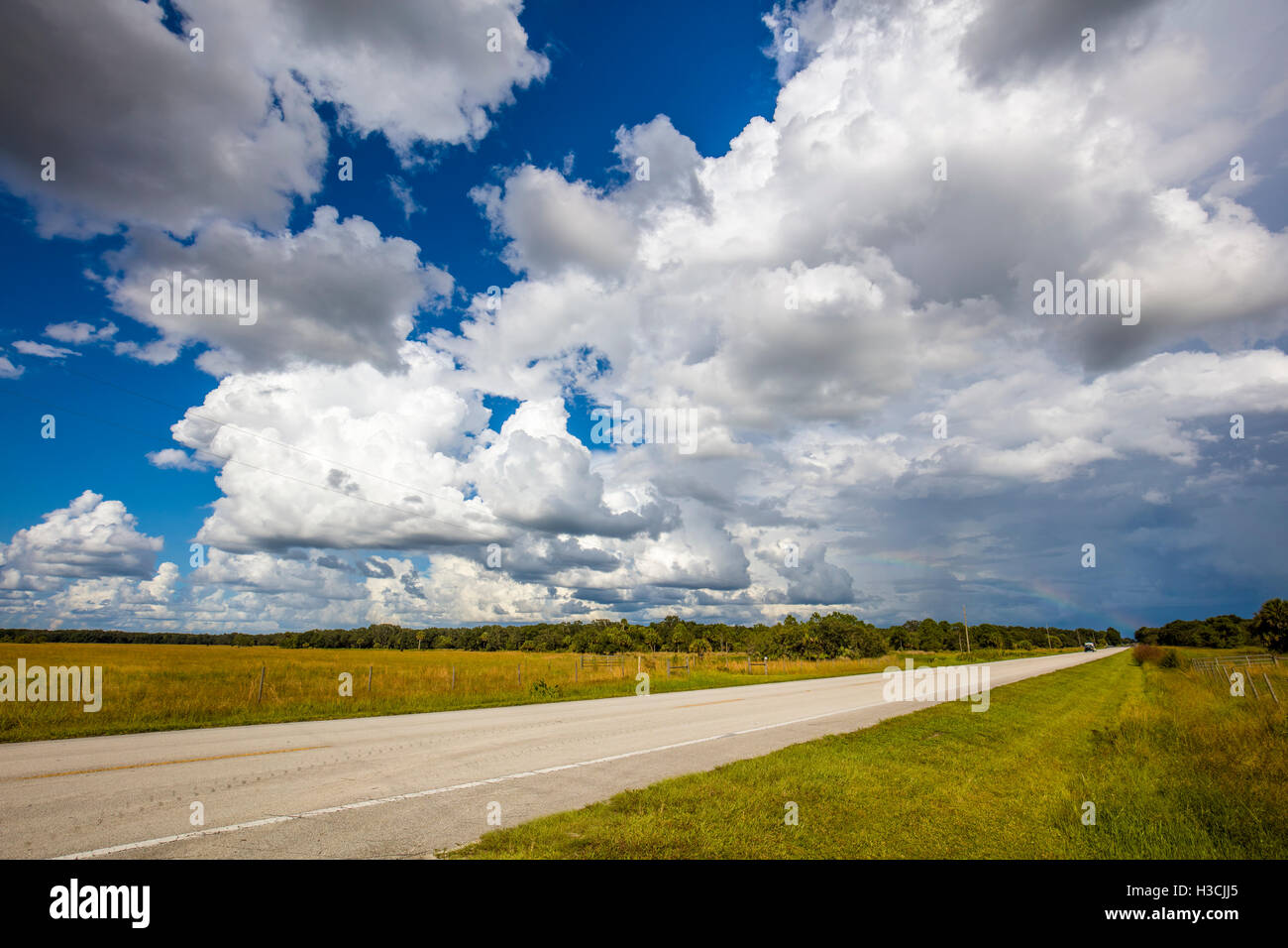 Road running into the distance with big dramatic white storm clouds in blue sky in Southwestern Florida Stock Photo