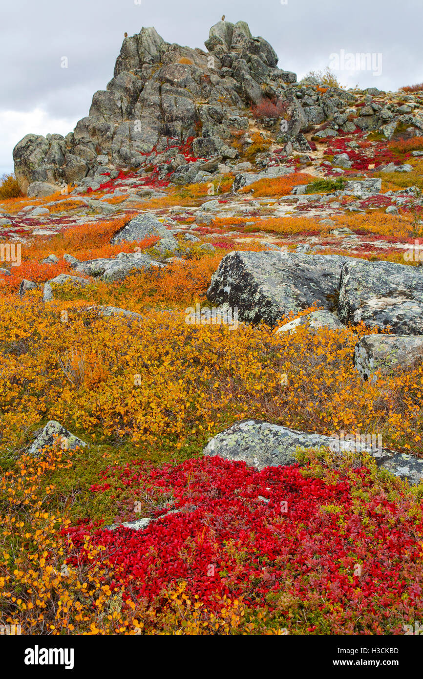 Red rocks along highway hi-res stock photography and images - Alamy