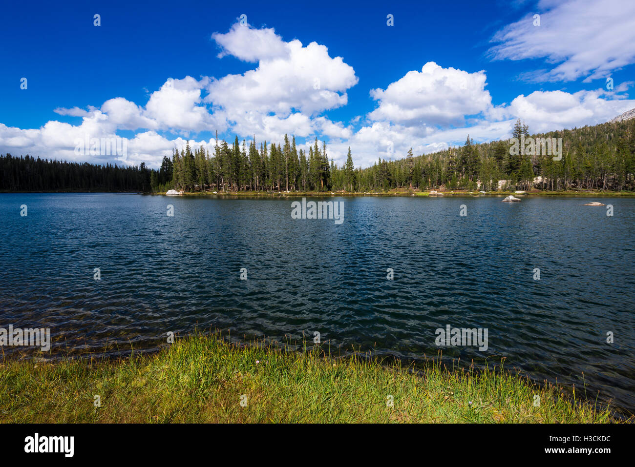 Elizabeth Lake, Tuolumne Meadows, Yosemite National Park, California USA Stock Photo Alamy