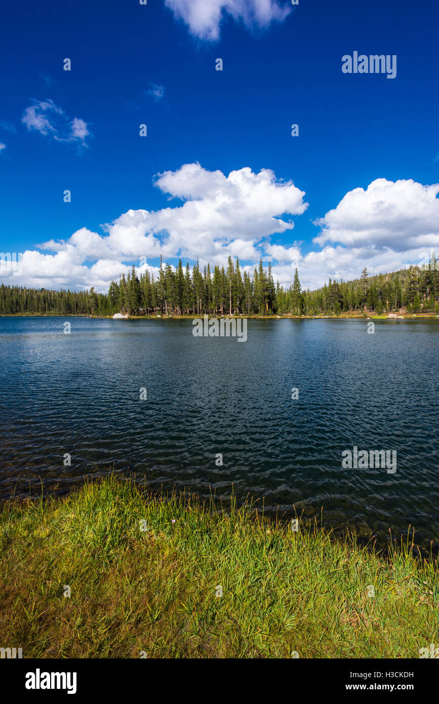 Elizabeth Lake, Tuolumne Meadows, Yosemite National Park, California