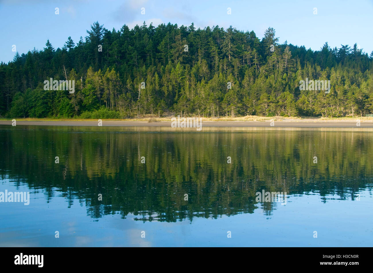 Salmon River estuary, Knight Park, Oregon Stock Photo Alamy