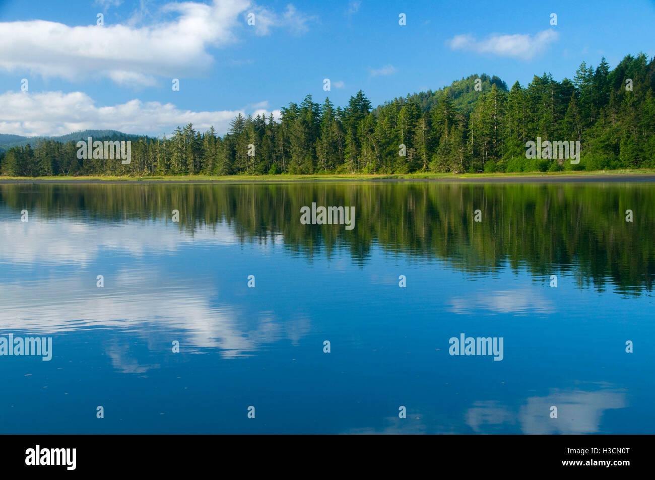 Salmon River estuary, Knight Park, Oregon Stock Photo Alamy