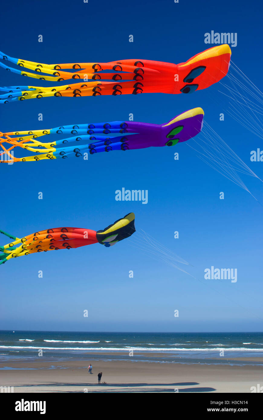 Octopus kites, Lincoln City Summer Kite Festival, Dee River State Park