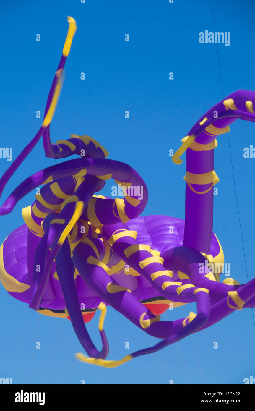 Lincoln city kite festival hires stock photography and images Alamy