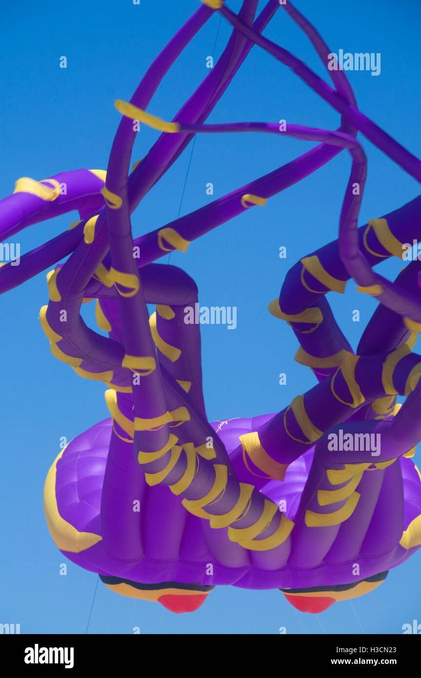 Lincoln city kite festival hires stock photography and images Alamy