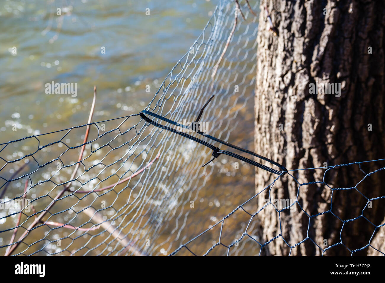 Plastic zip ties holding thin wire fences together near tree and water. Stock Photo