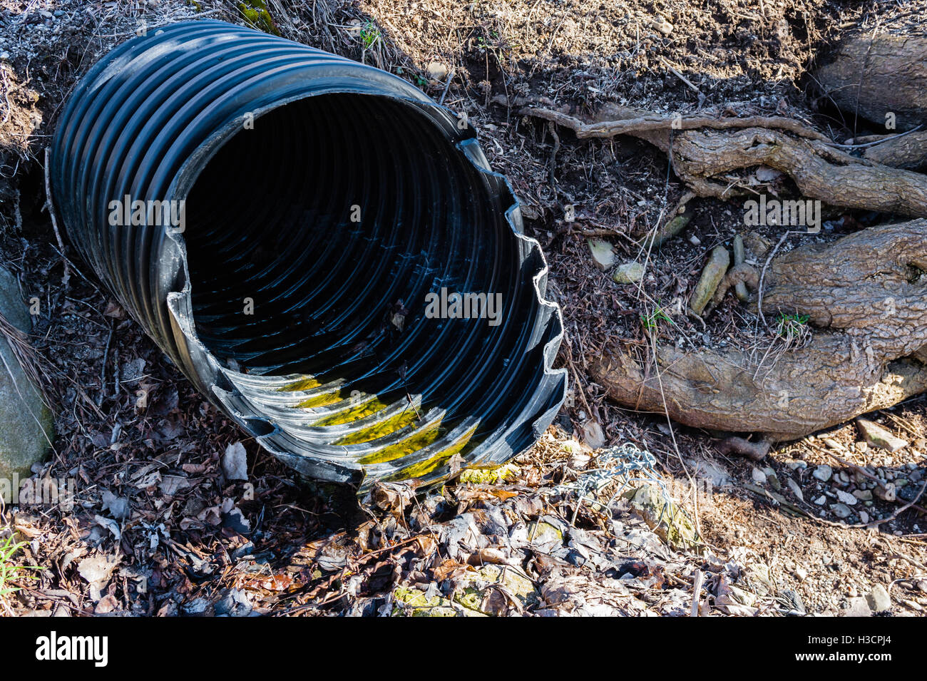 Large corrugated black plastic drain pipe emptying from ground among