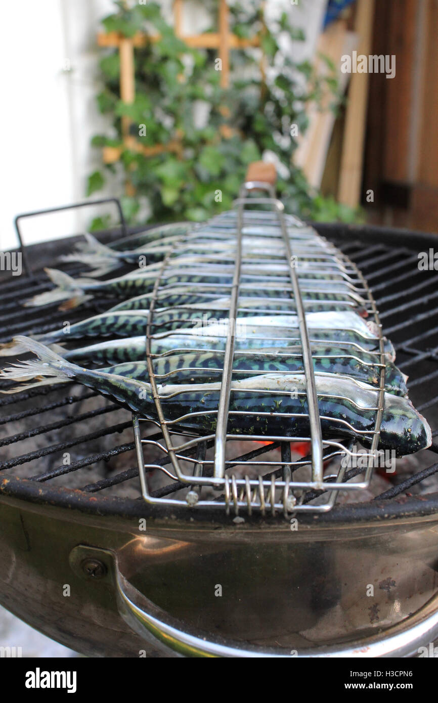 Fish on the grill Stock Photo - Alamy