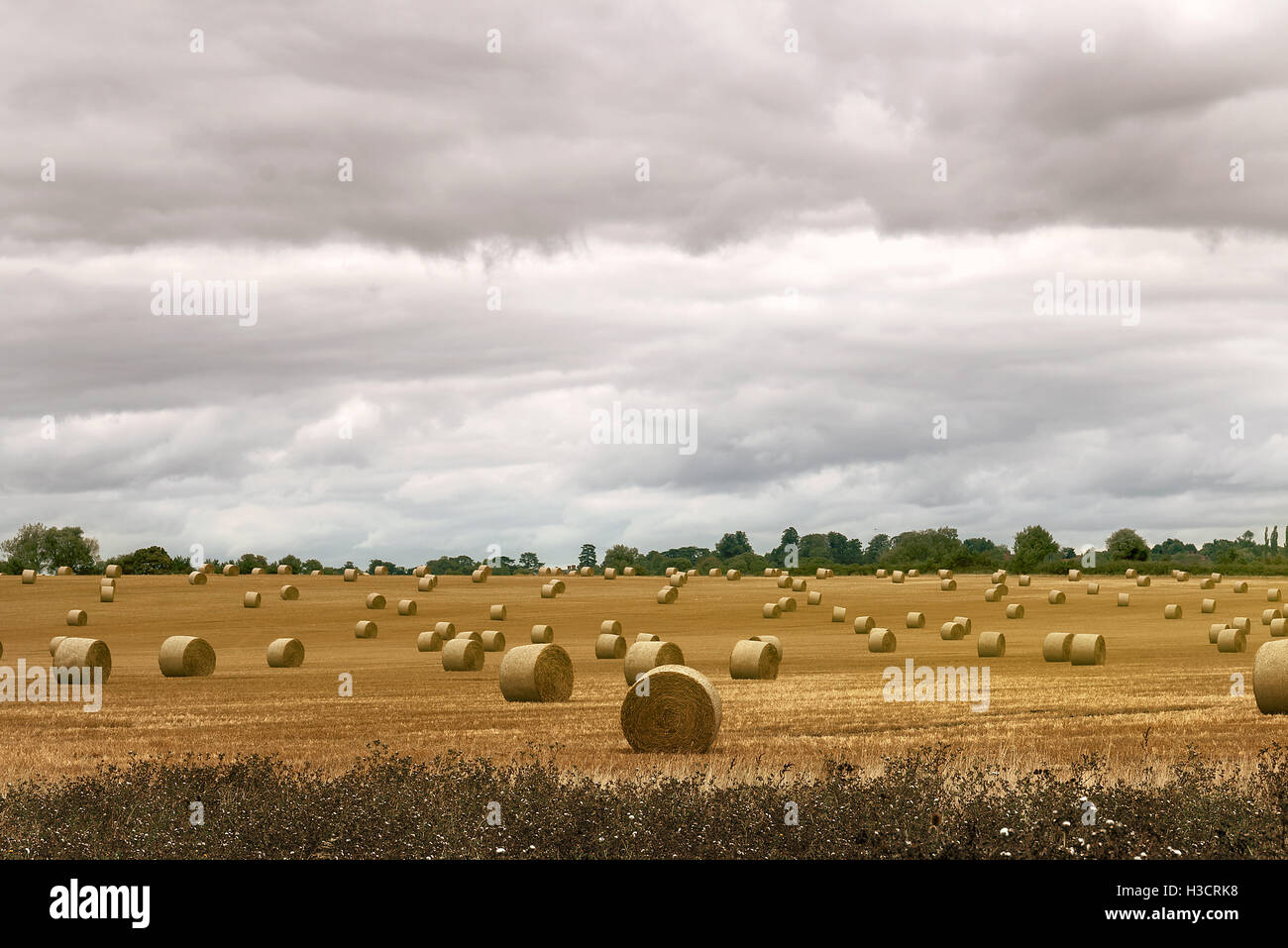 Hay bales in farmer's field with cloudy sky Stock Photo - Alamy