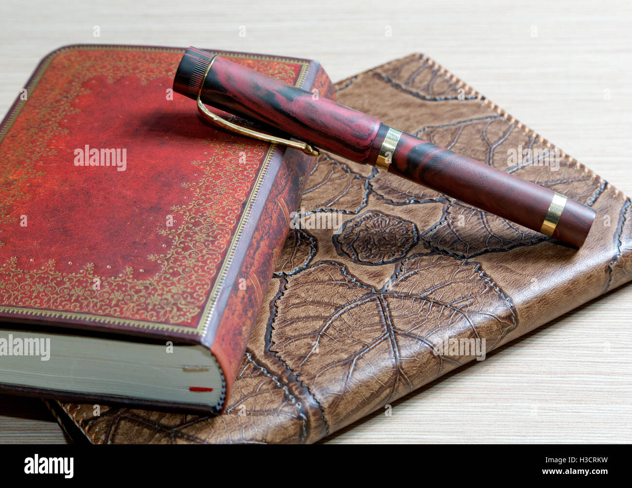 The  writing-book in a leather cover and  pen Stock Photo