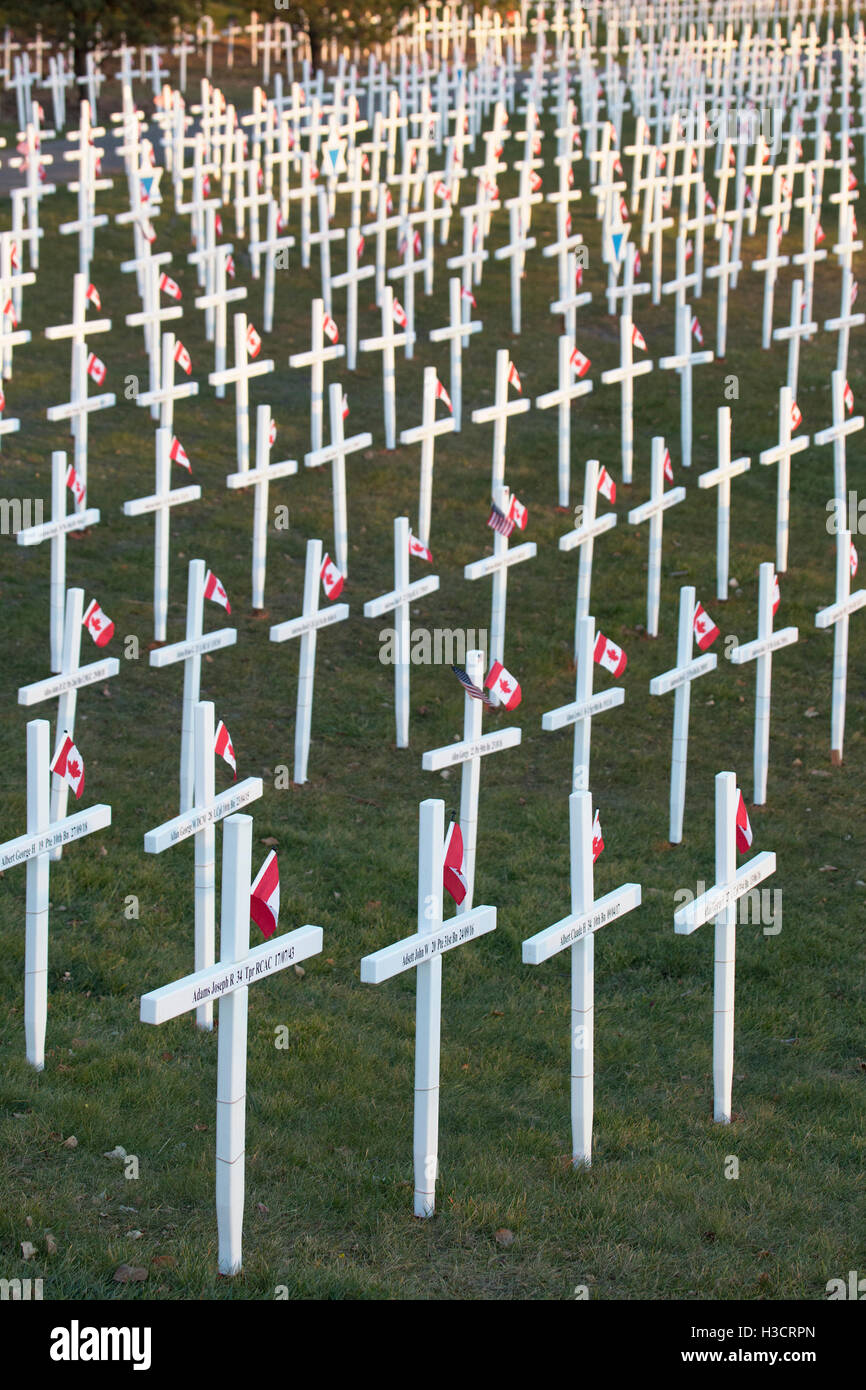 Field of Crosses memorial for fallen soldiers on Remembrance Day in Calgary, Canada Stock Photo