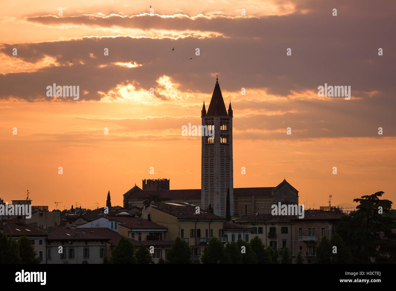 The tower of San Zeno Basilica in Verona, Italy Stock Photo Alamy