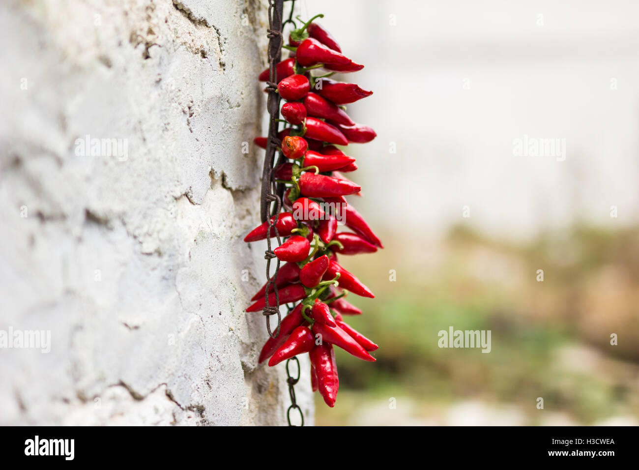 Red hot chili peppers Stock Photo - Alamy