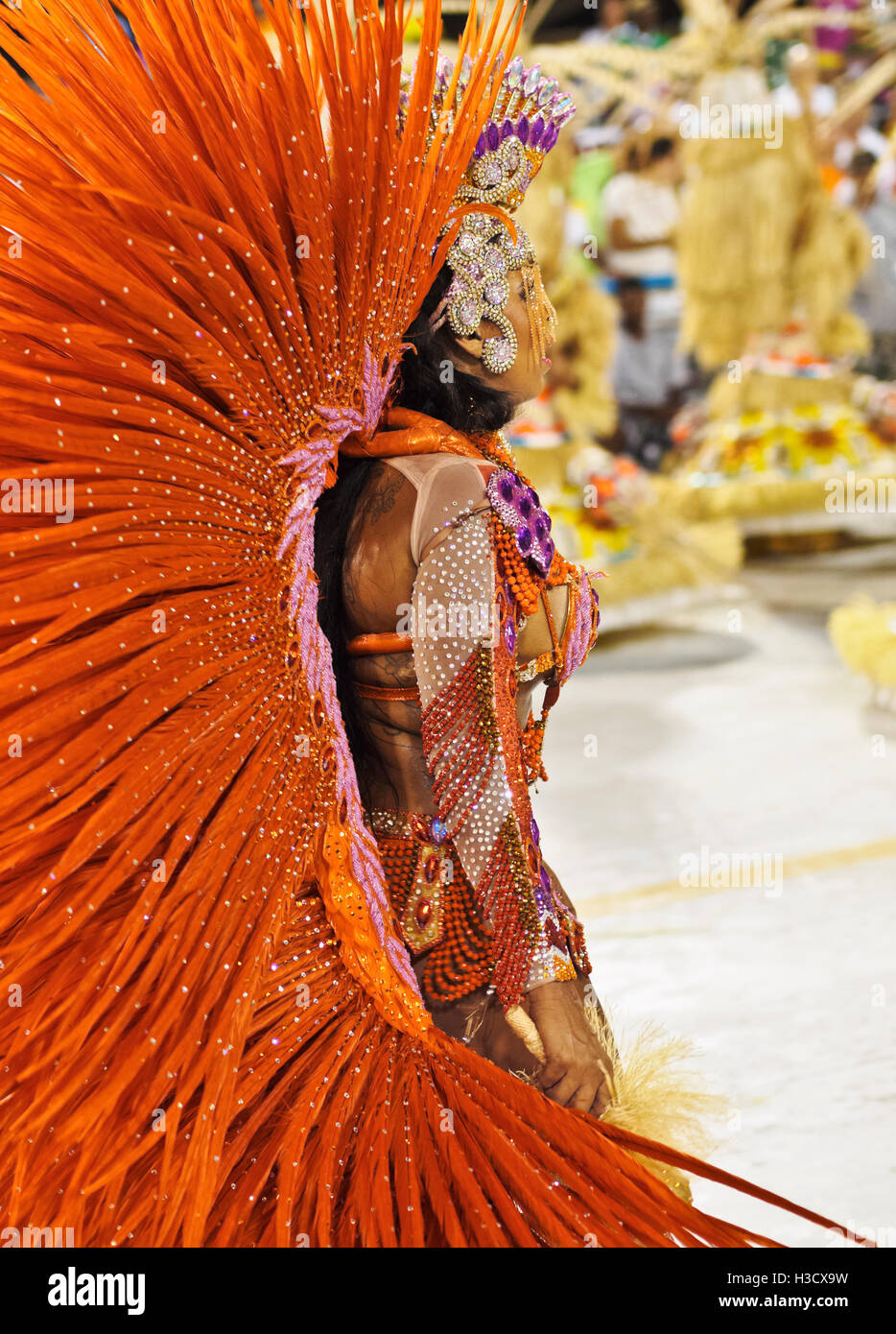 Carnival Rio Woman Feathers High Resolution Stock Photography and ...